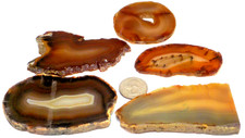 5 Fabulous Agates Total 8.2 Ounces  1st  5 Pictures Wet #3665