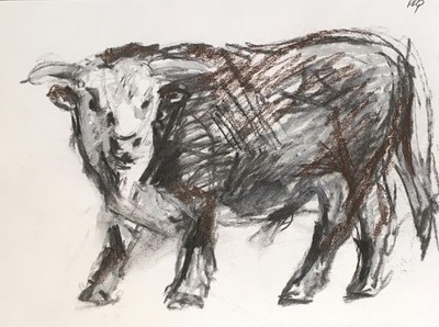PDQ Artist Original Drawing Animal Bull Cattle Art Impressionistic Realism 9x12