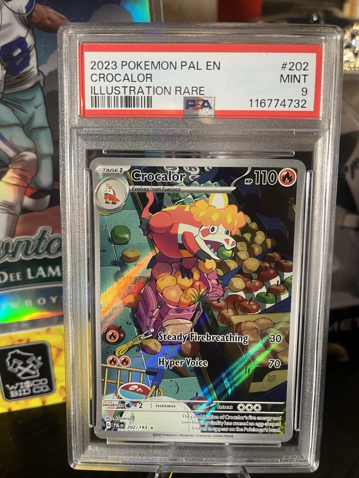 Pokémon TCG Crocalor 202/193 Illustration Rare Holo PSA 9 Paldea Evolved 2023