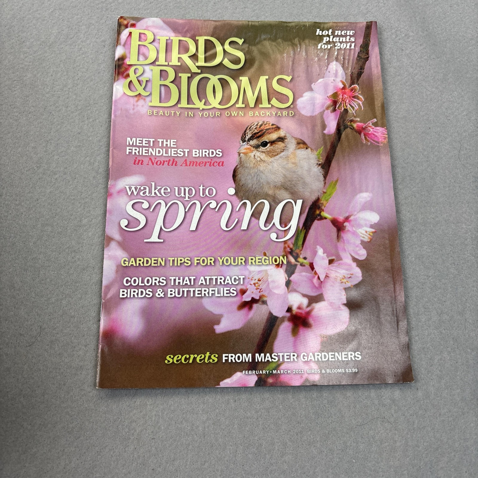 Birds & Blooms Magazine Feb/Mar 2011 Pink Illustrated Birds Gardening USA