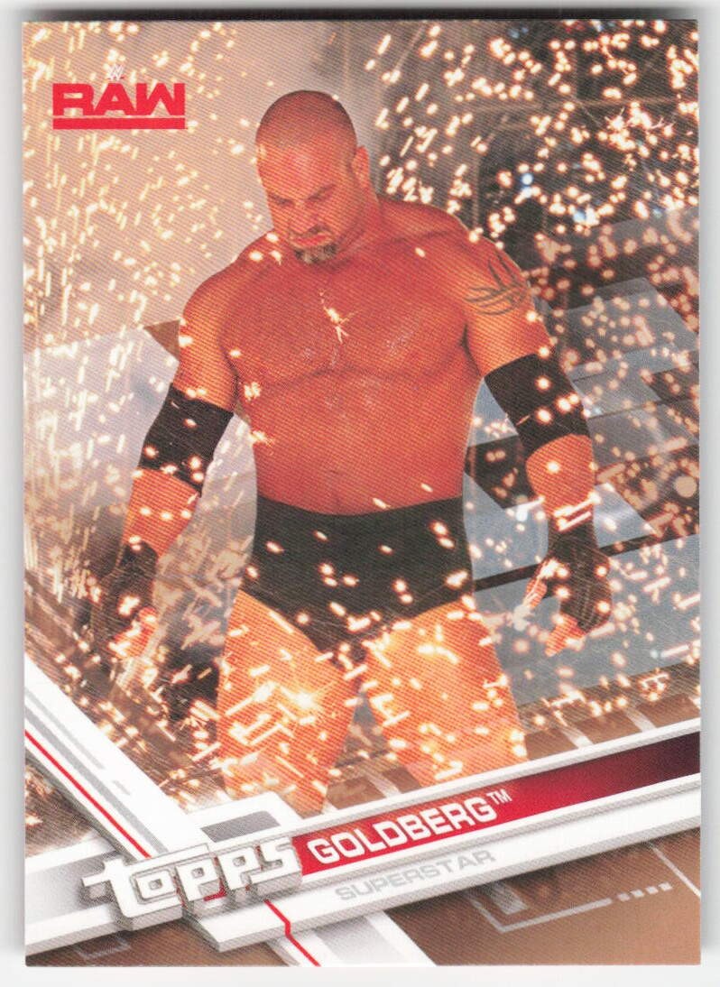 2017 Topps WWE Bronze Goldberg #18