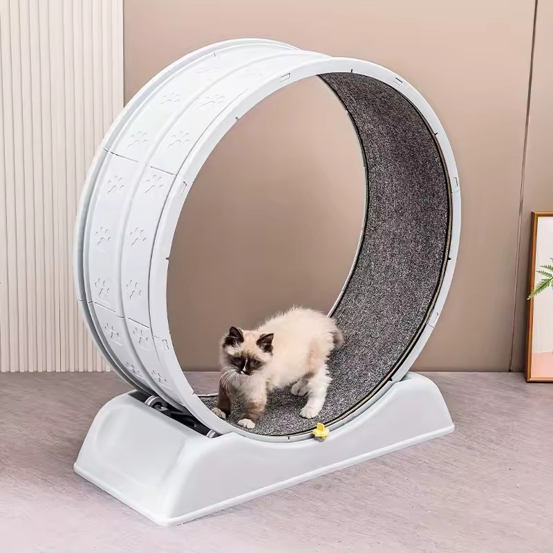 Roue d'exercice pour chat silencieuse en bois 76cm de diamètre