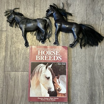 2 Paradise Kids Horses Black Toy Poseable Figure, Horse Breeds By Jane Kidd