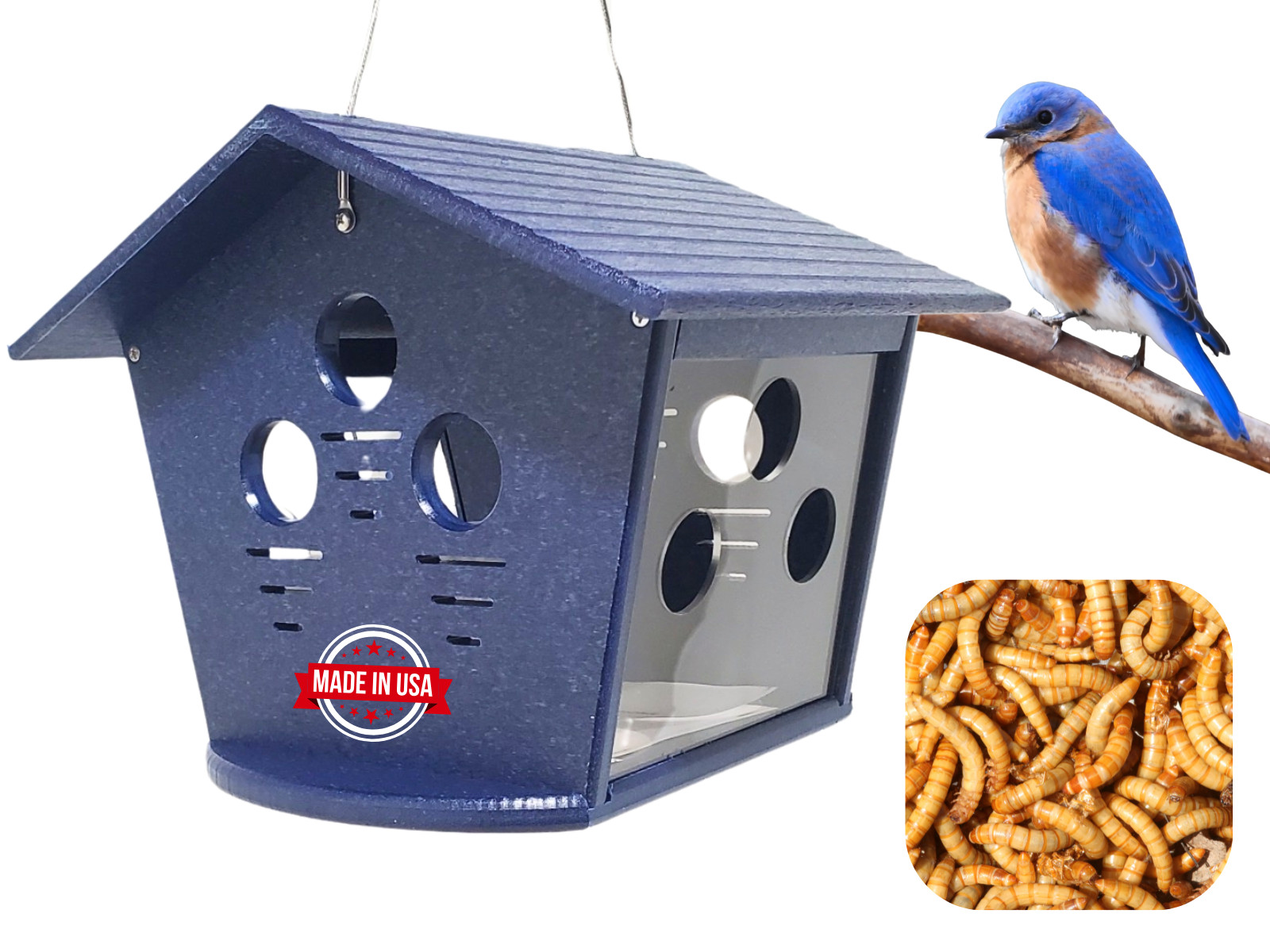 (blue/blue) - Keeps Starlings