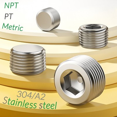 M3~M33 Stainless steel Internal Hex Male Blanking Plug with NPT 1/16''~2'' Thread