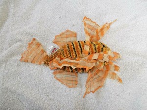 lionfish plush