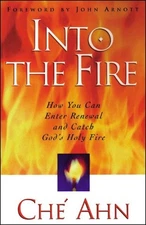Into the Fire: How You Can Enter Renewal and Catch God's Holy Fi