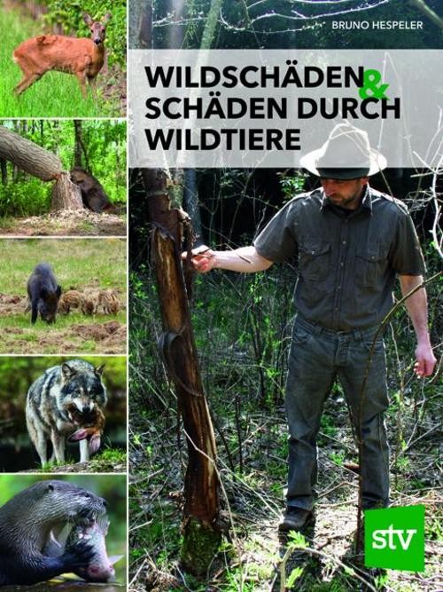 Wildschäden & Schäden durch Wildtiere - Bild 2