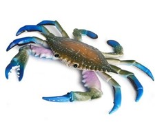 Crab Sea Animal Toy PVC Action Figure Doll Kids Toys Party Figurine Gifts