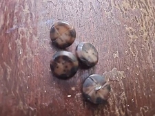4  Brown  Buttons Suit or Coat Plastic Sew On  3/4  Inch
