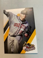 Tyler Ivey Card 2018 Quad Cities River Bandits Team Card