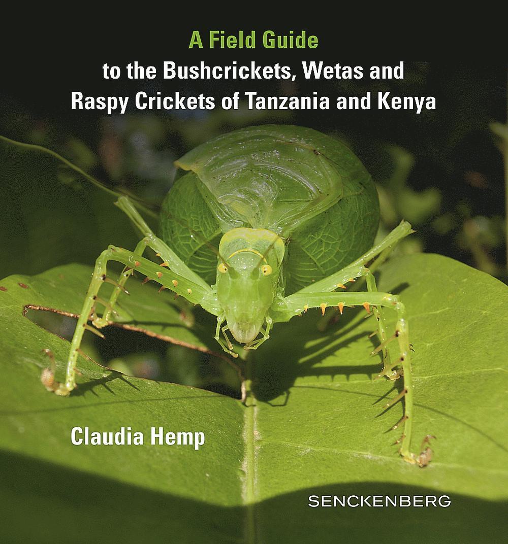 Thumbnail - A Field Guide To The Bushcrickets, Wetas And Raspy Crickets Of