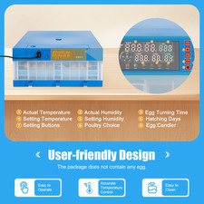 AC110V/DC12V Egg Incubator Blue Automatic Incubator Box 48 21CM 80W 48-Eggs