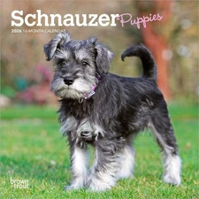 Schnauzer Puppies | 2026 7x14" (Hanging) Monthly Mini Wall Calendar