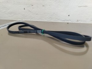 BEKO WML 16106N Waschmaschine Keilrippenriemen 1244pj4e 2816750100 #TH32