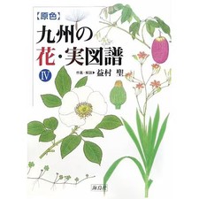 Primary Colors Illustrated Book of Flowers and Fruits of Kyushu Volume 4 Botanic