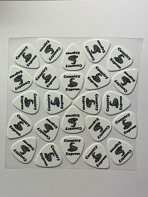Guitar ( 12 Picks ) Personalized for you, SINGLE Sided !! FREE SHIPPING!
