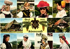 Greetings from the Black Forest Postcard Unposted Germany Schoning