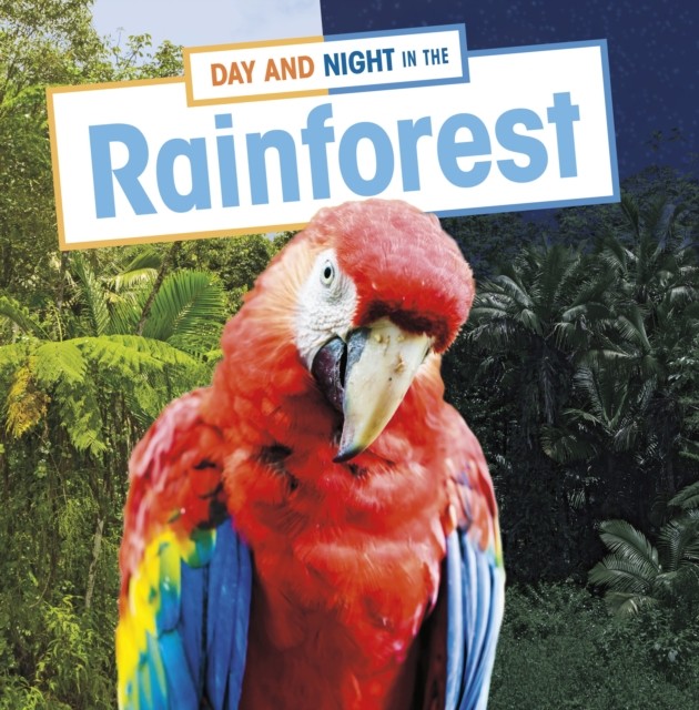 Day & Night In The Rainforest