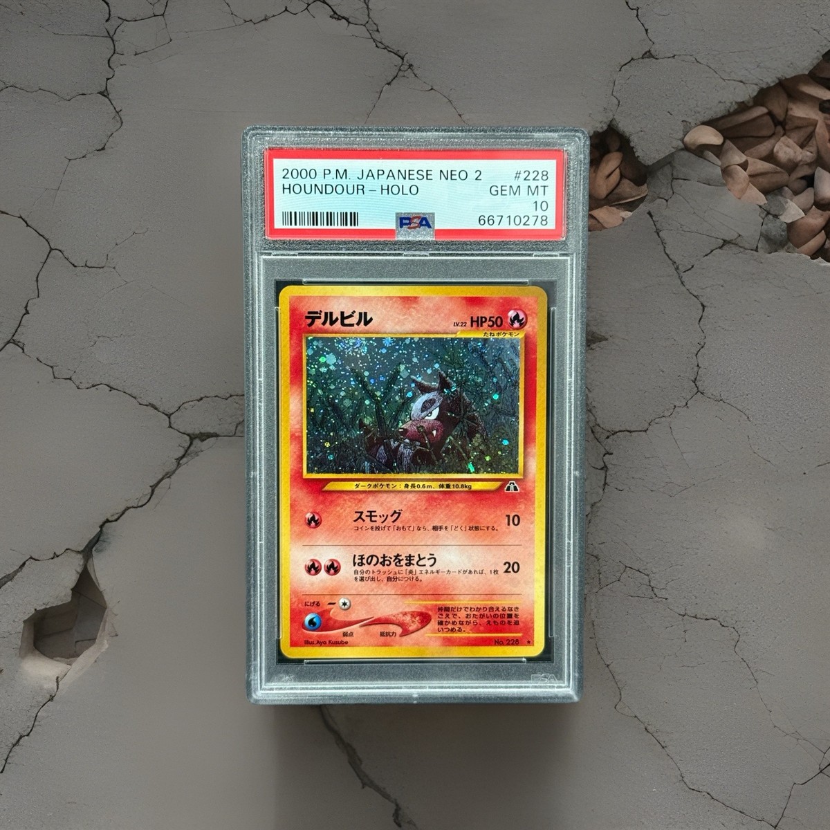 Pokémon 2000 Neo Discovery Factory 2000 P.M. Pokemon Japanese Neo 2 TYRANITAR Holo #248 NM