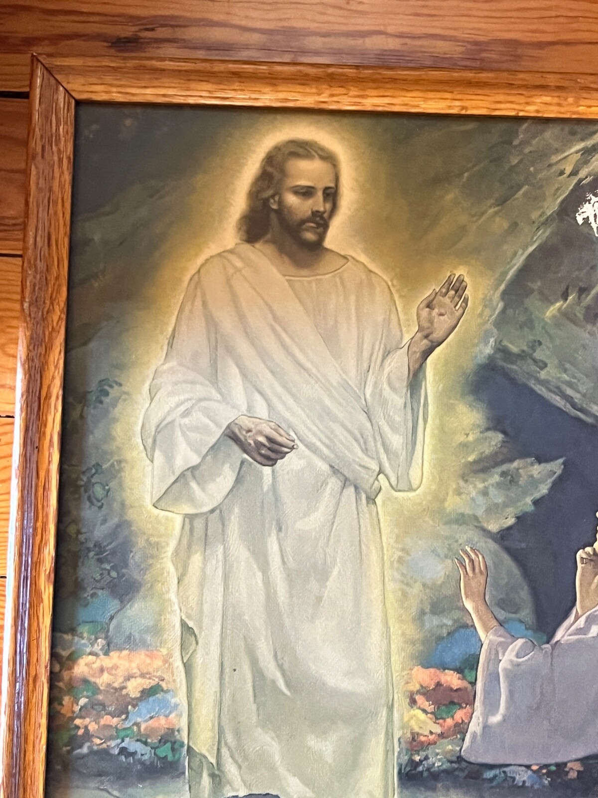Picture 6 of 16
