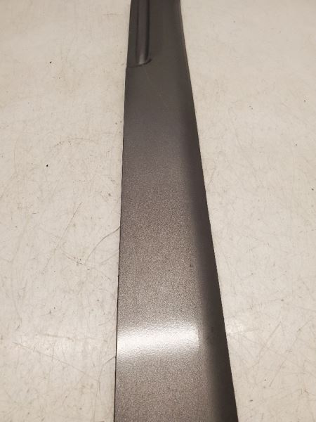 Toyota Echo, Front Left Door Moulding, 2000-2005, Gray, 1E3, 75736