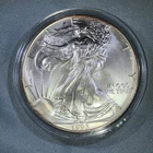 1993 silver eagle 1oz Silver Dollar With Peripheral Toning Uncirculated Shiner