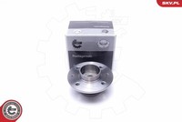 Esen SKV 29SKV339 Radlagersatz For Renault