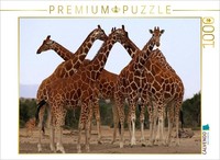 Calvendo Puzzle Giraffen – Meeting | 1000 Teile Lege-GrößE 64 × 48 Cm Foto-Puzzl