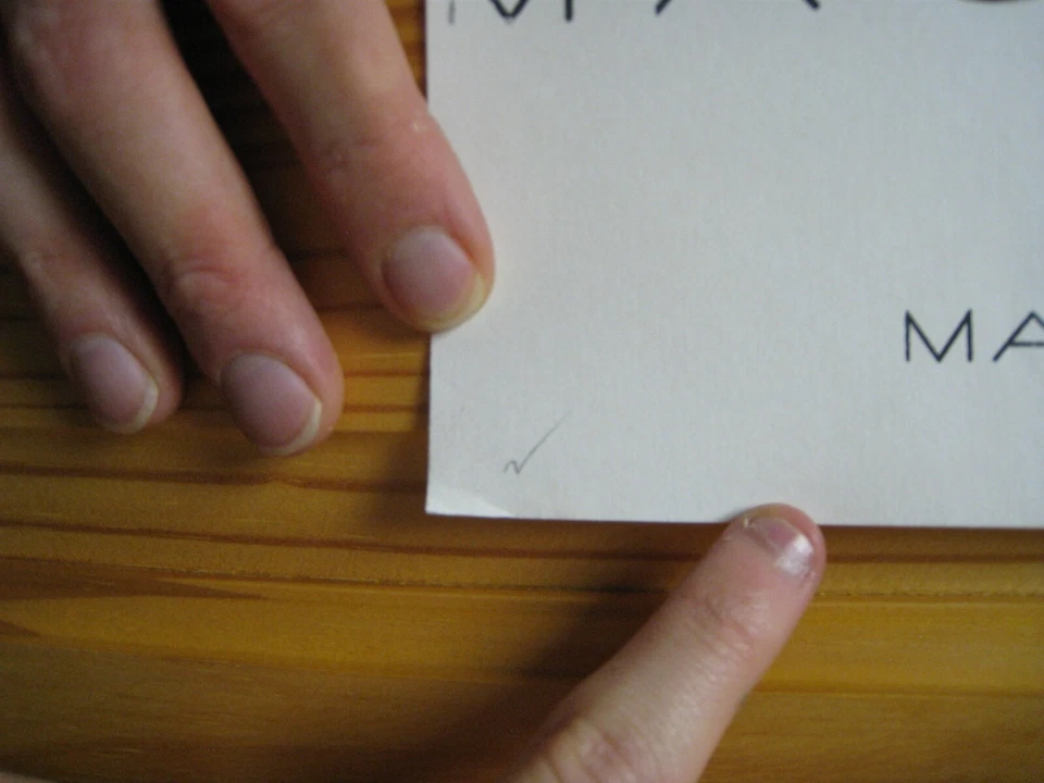 Mastodon Poster 2004 Louse Signed Numbered - Image 4 of 4