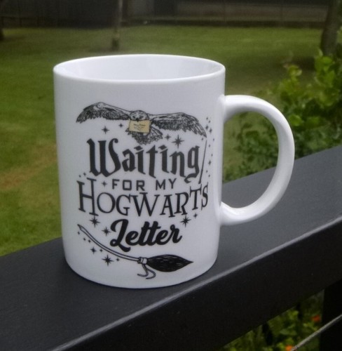 Mug Thermo Réactif Harry Potter : 300 ml - Portraits