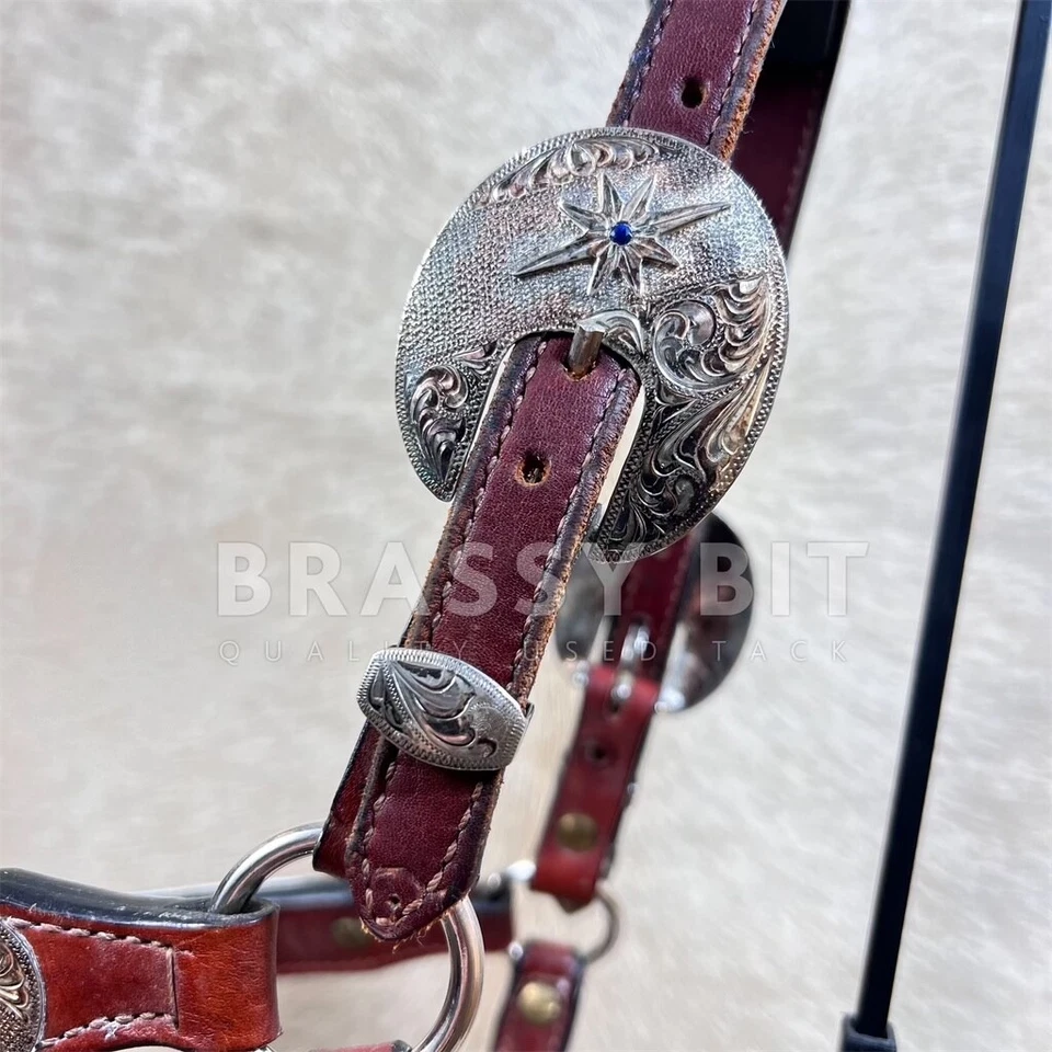 Halter de exhibición plateado estilo Congreso Dale Chávez con plomo Foto 3 de 4