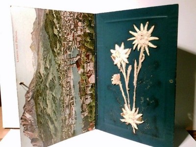 Luzern mit Pilatus. Alte Klappkarte farbig. gel. 1908. Vorderseite Ortsansicht, 