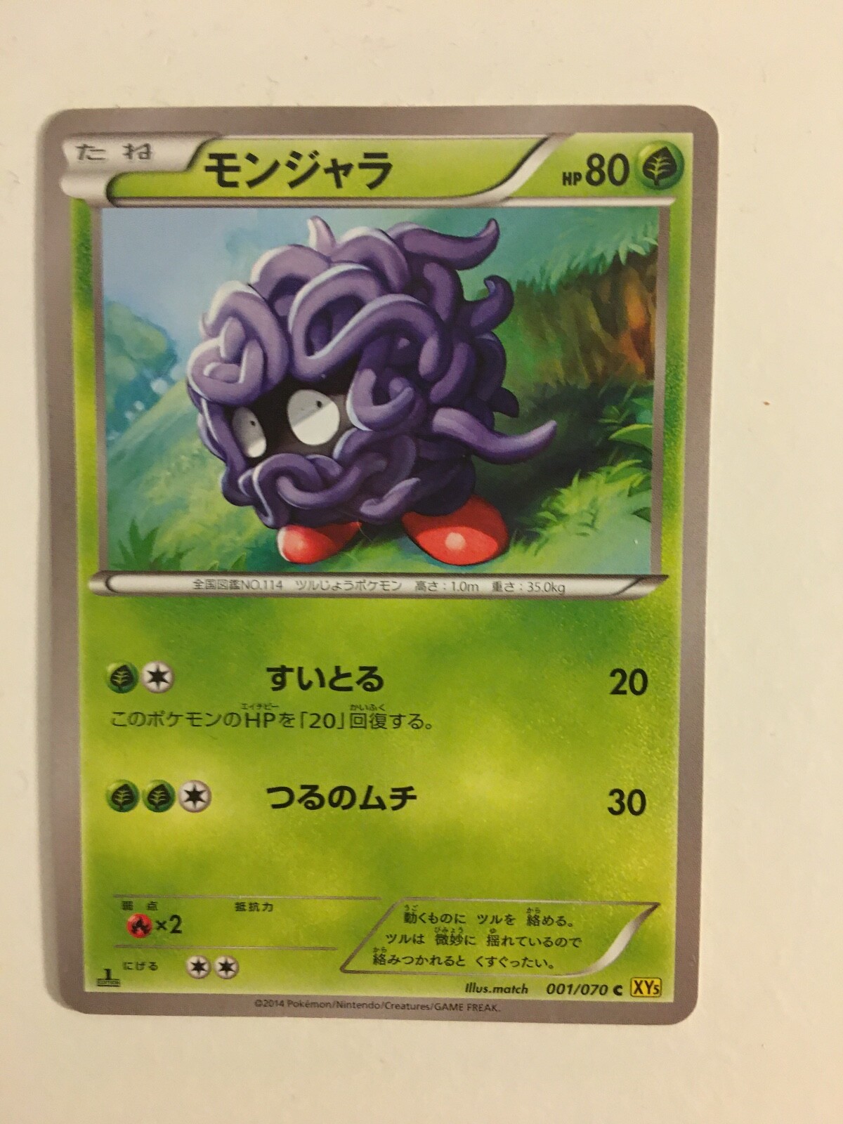 Pokemon Card / Tangela Cards 001/070 XY5 1 ED ( Gaia Volcano )
