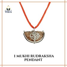 Premium 1 Mukhi Rudraksha Shiva Pendant- Silver Metal cap