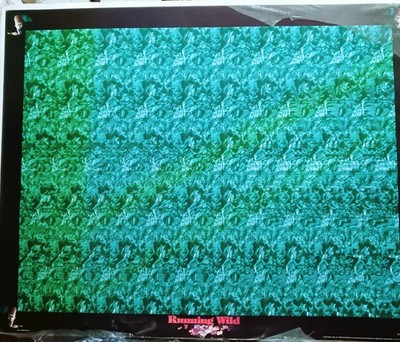 Vintage 1994 - 3D Stereogram RUNNING WILD 22 x28  Poster. Montage Publication 