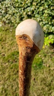 Hazel Shillelagh Walking Stick Knobstick