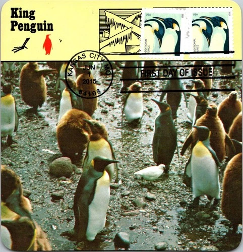 Dr Jim Stamps Maximum Card Penquins Additional Ounce Pair Fdc