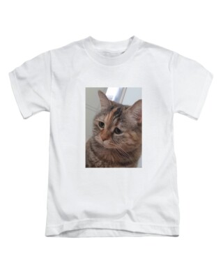 Traurige Katze Meme Erwachsene T-Shirt Lustig Meme Viral Tee Top Neu