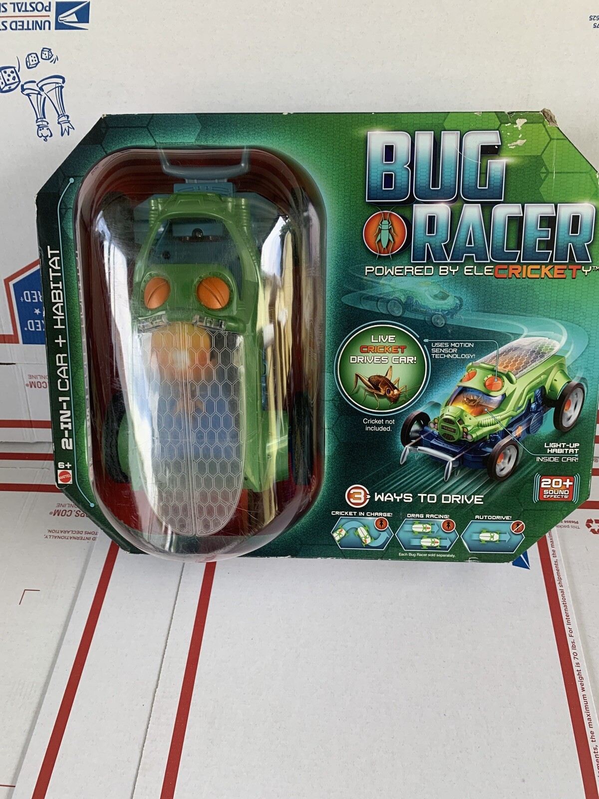 bug racer car