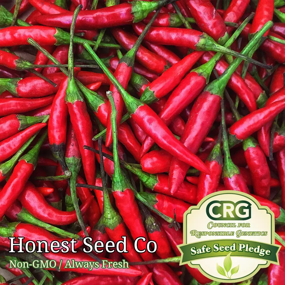 Thai chilis clearance scoville