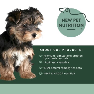 Supa Supp Garlic Oil Capsules At ₹ 120/box In Hooghly | ID: 2850362996997