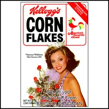 Fridge Fun Refrigerator Magnet CORN FLAKES VANESSA WILLIAMS BREAKFAST CEREAL 80s