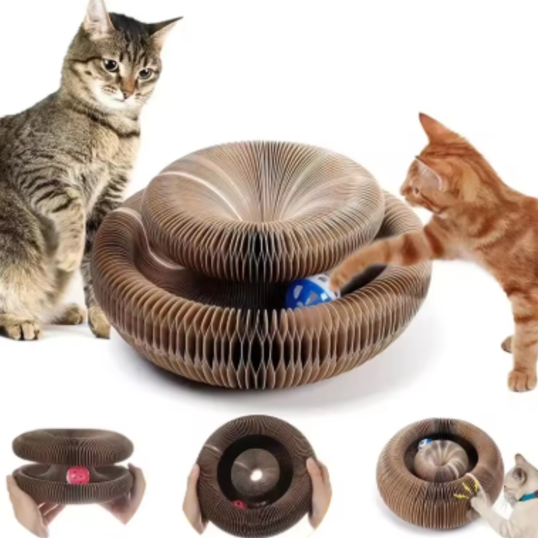 No Crumbs Kitty Kurlz Cat Toy Wear-Resistant Cat Scratching Board