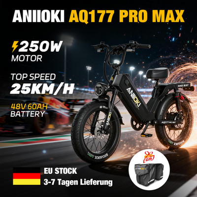 20'' Fat Tire ANIIOKI Einmotor 250W Elektrofahrrad 48V  Mountain E-Bike 25KM/H EU
