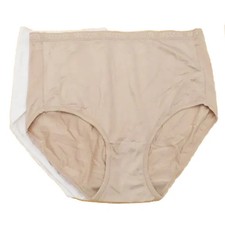 Breezies 2-Pack Nylon Microfiber Brief Panty Basic