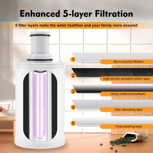 Repuesto Filtro Agua 100186 Compatible con Purificador Agua Amway eSpring,... - Imagen 6 de 9
