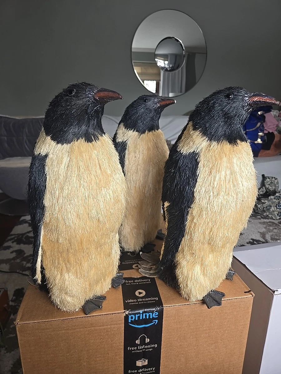 企鹅收藏品| eBay
