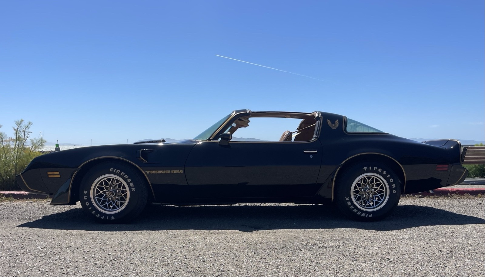 1979 Pontiac Trans Am for sale in Berkeley California