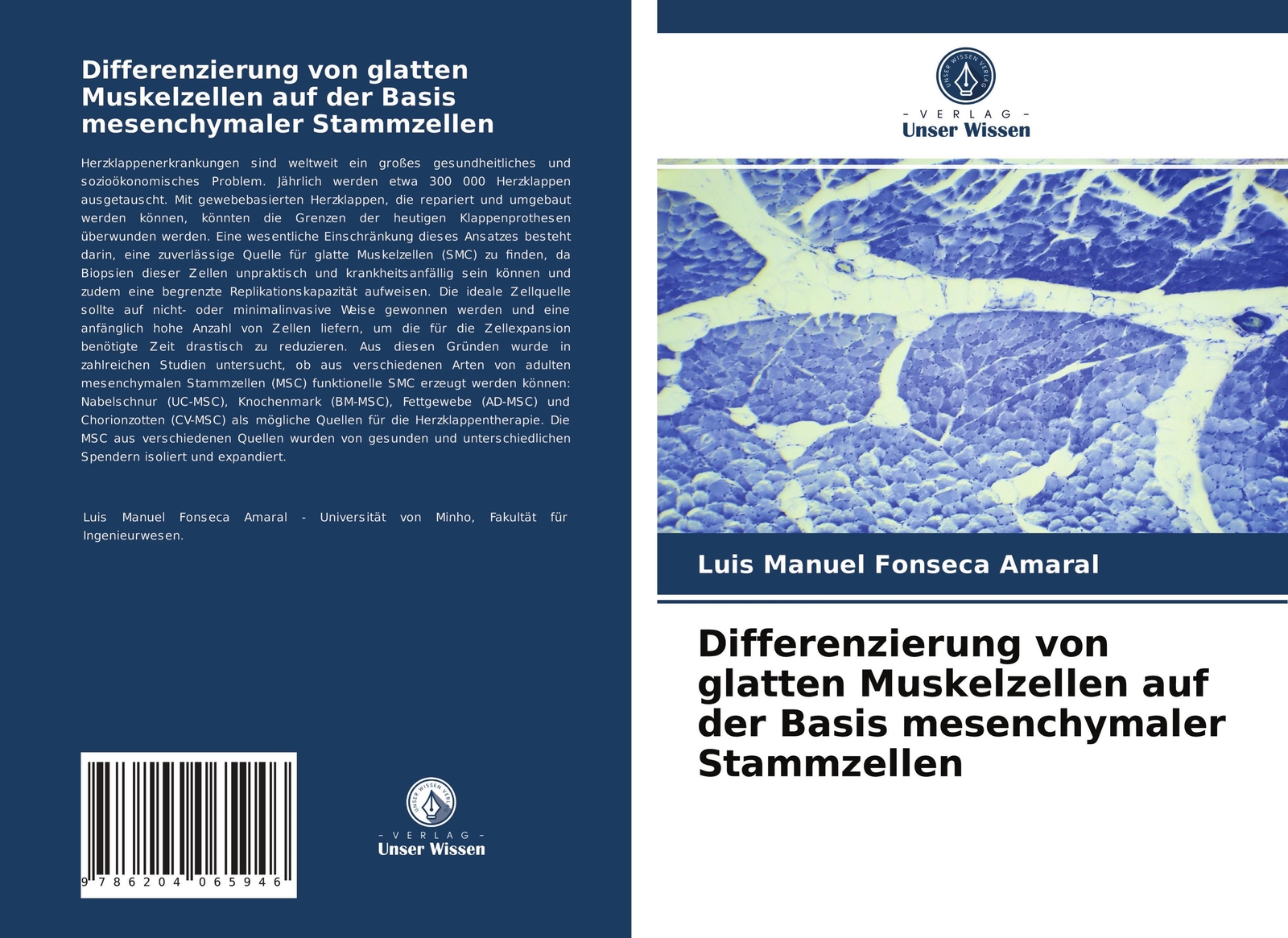 Thumbnail - Differenzierung Von Glatten Muskelzellen Auf Der Basis Mesenchymaler